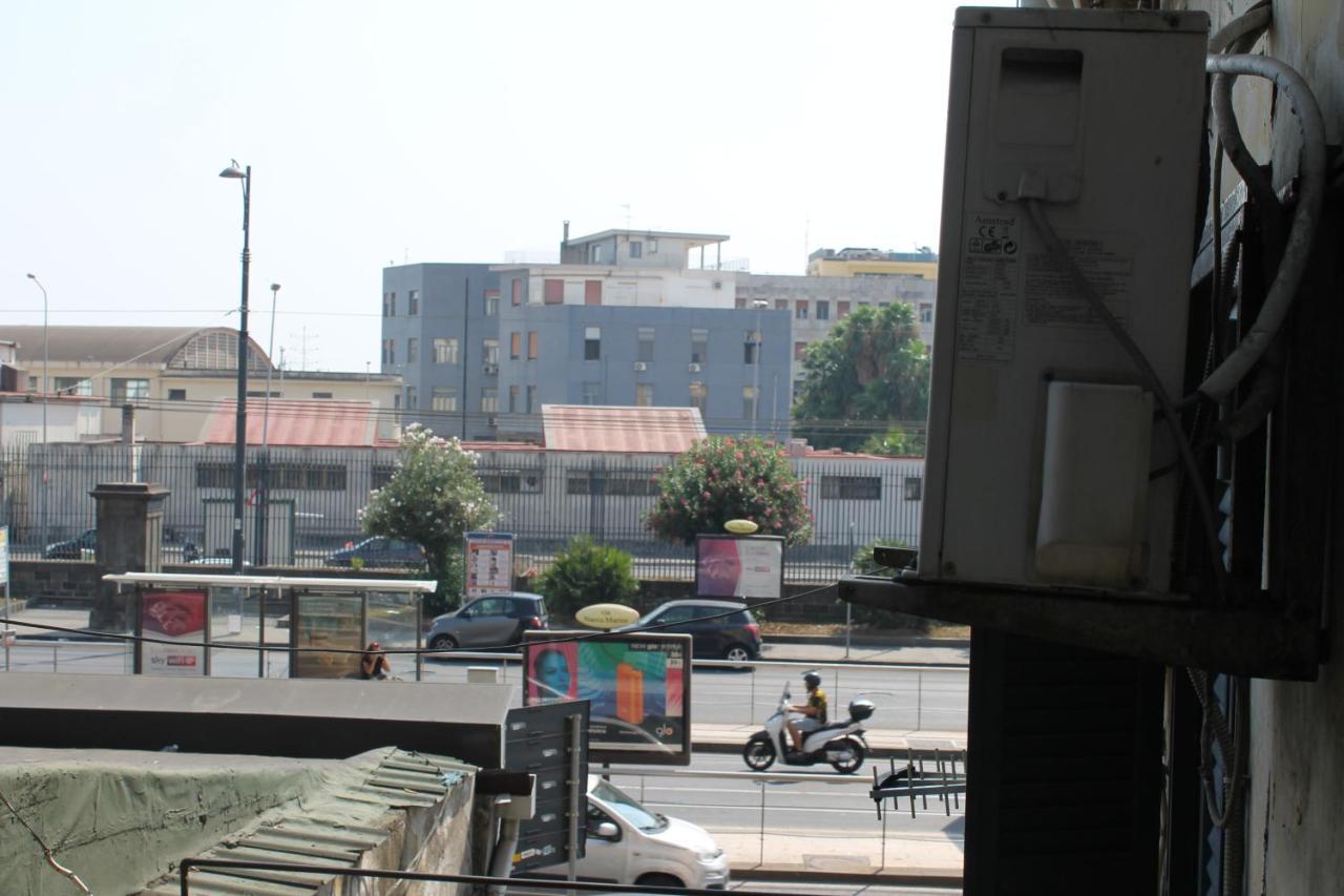 Riccia, Frolla E Babbà Napoli